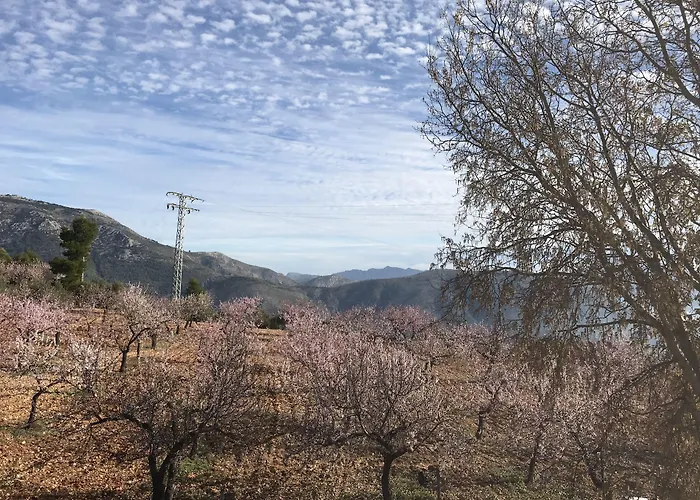 Rincon De Pepe